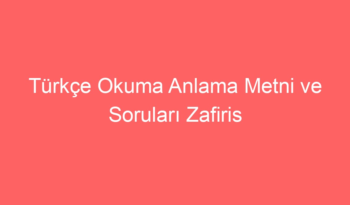 20. Hafta Türkçe Okuma Anlama Metni ve Soruları Zafiris