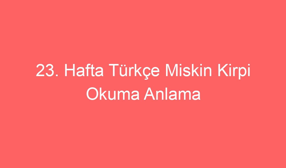 23. Hafta Türkçe Miskin Kirpi Okuma Anlama Metni ve Sorular