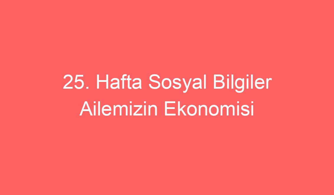 25. Hafta Sosyal Bilgiler Ailemizin Ekonomisi Konu Etkinlikleri Defter Notu