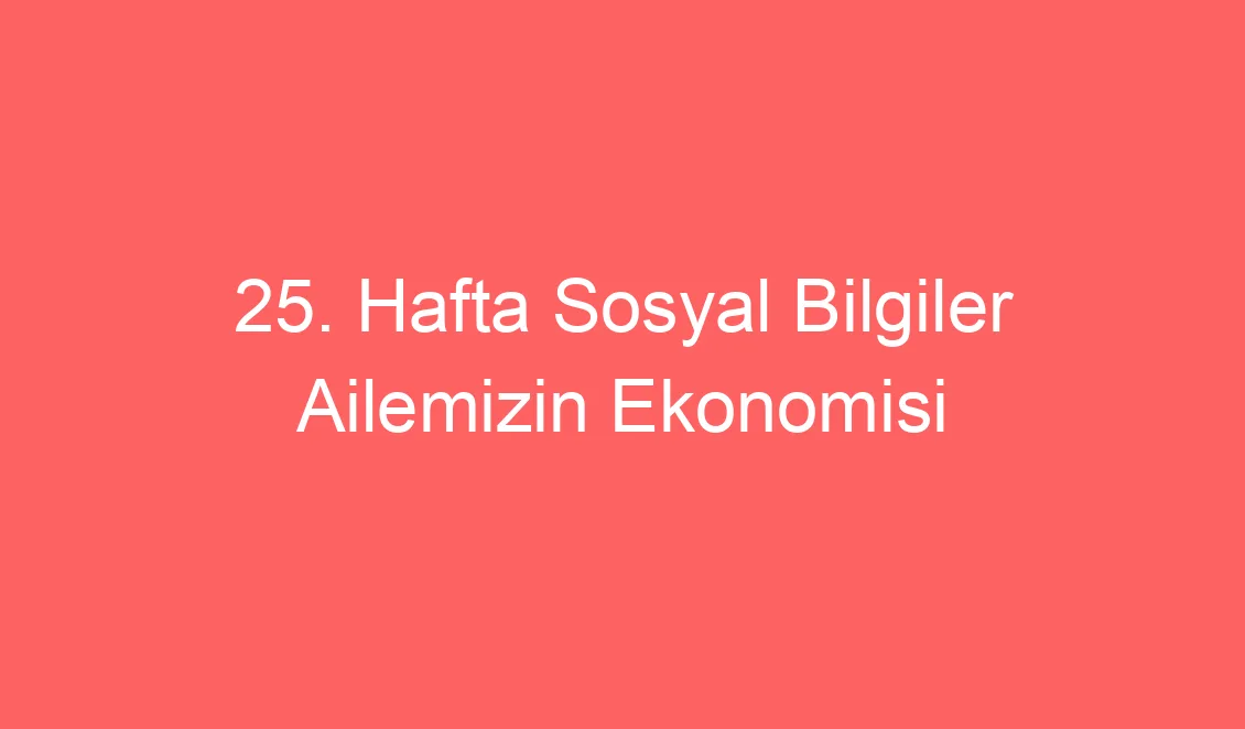 25. Hafta Sosyal Bilgiler Ailemizin Ekonomisi Konu Etkinlikleri Defter Notu