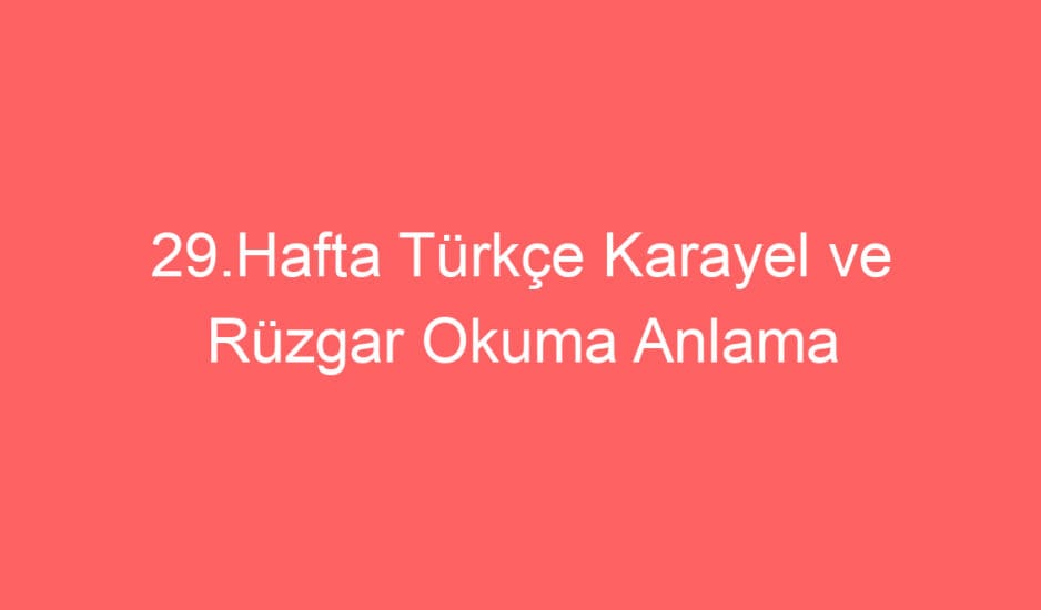 29.Hafta Türkçe Karayel ve Rüzgar Okuma Anlama Metni ve Sorular