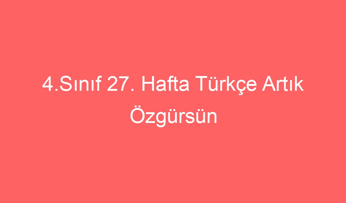 27. Hafta Türkçe Artık Özgürsün Okuma Anlama Metni ve Sorular