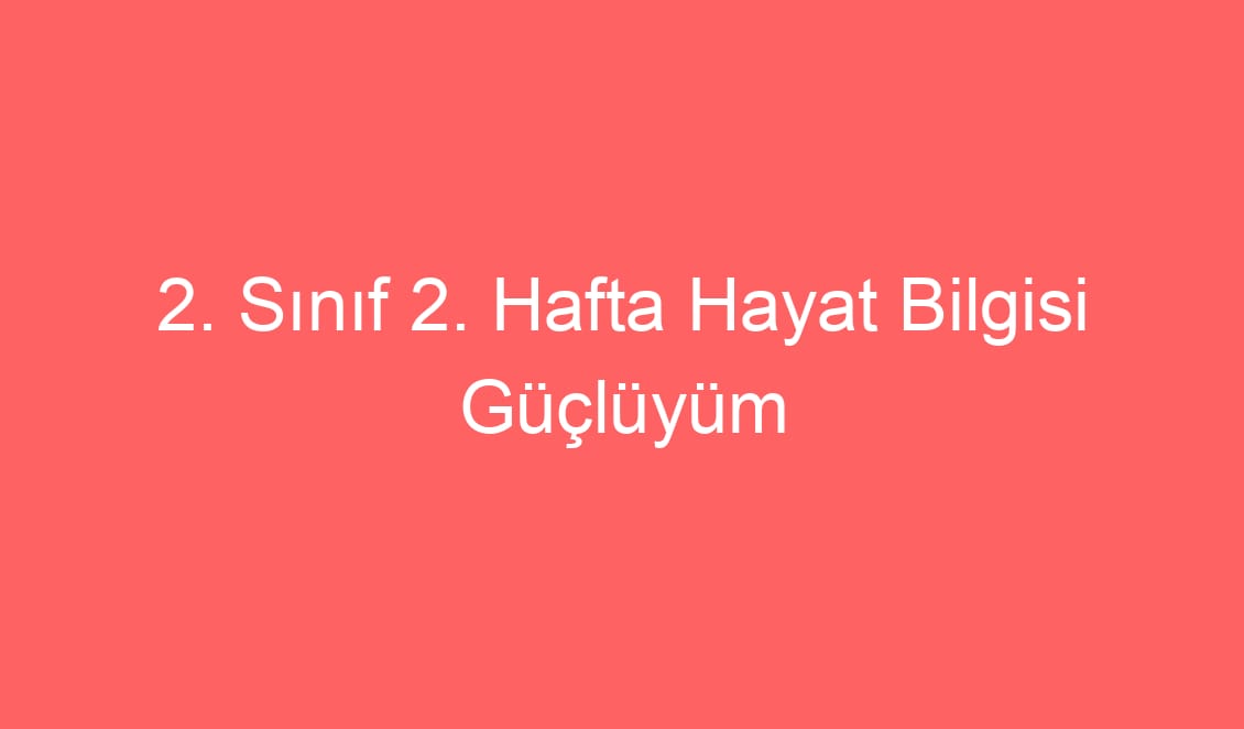2. Sınıf Hayat Bilgisi Güçlüyüm Daha Da Güçleniyorum konu etkinlikleri ve Defter Notu