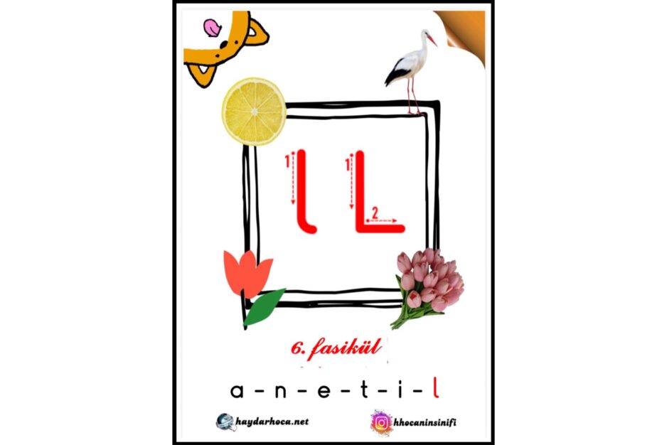 1.Sınıf L sesi Çalışmaları