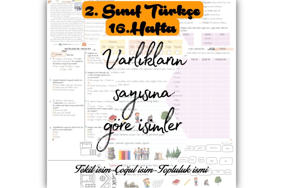 2. Sınıf Türkçe Tekil-Çoğul-Topluluk İsimleri Defter ve Konu Etkinlikleri