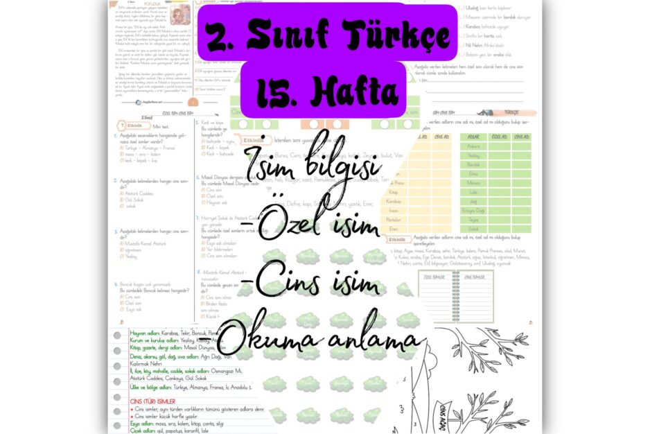 2. Sınıf Türkçe Özel İsim-Cins İsim Konu Etkinlikleri