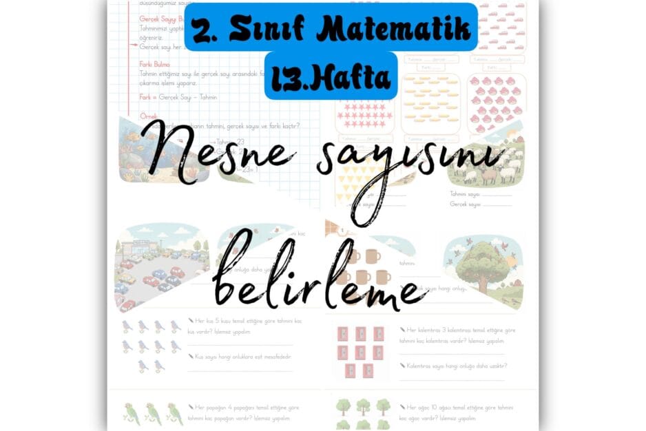 2. Sınıf Matematik Nesne Sayısını Belirleme