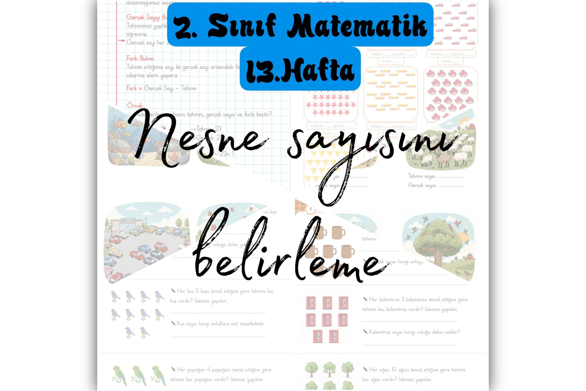 2. Sınıf Matematik Nesne Sayısını Belirleme