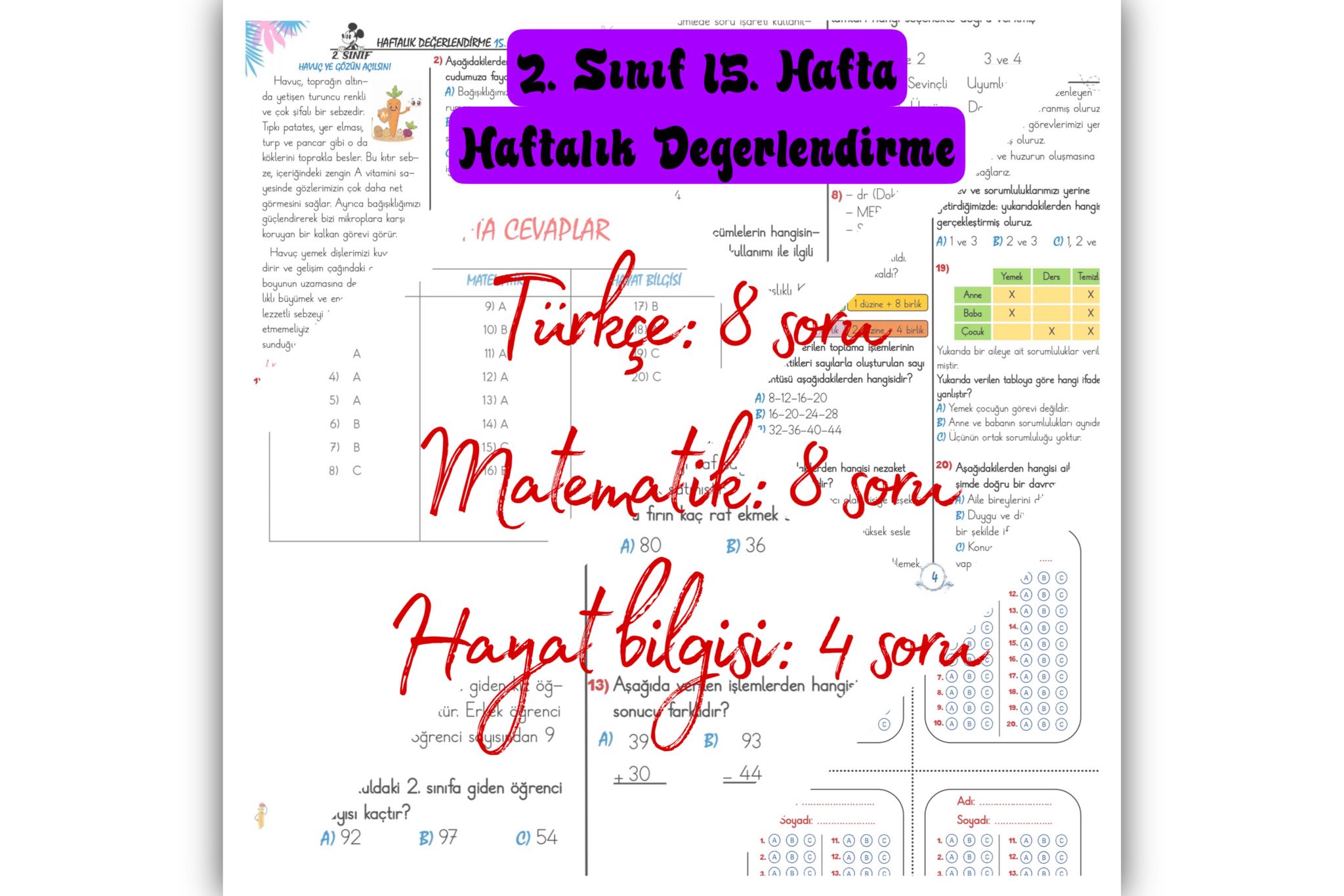 2. Sınıf 15. Hafta Haftalık Değerlendirme