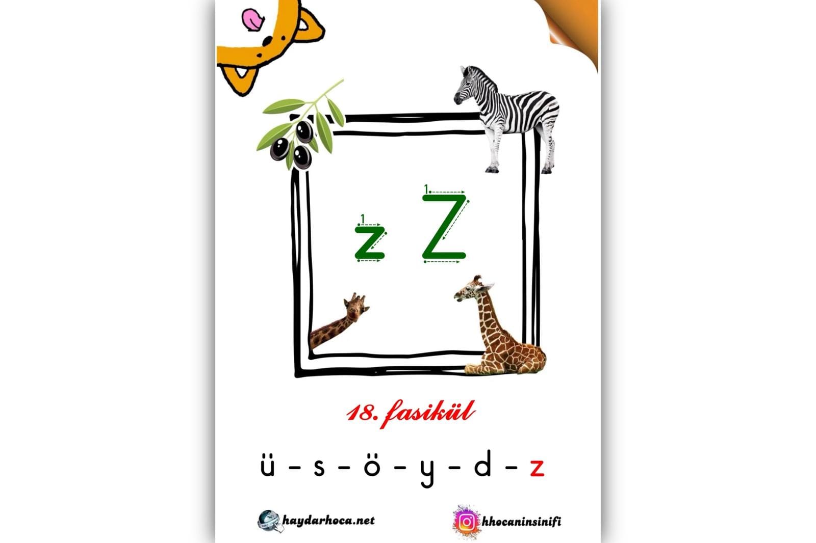 1. Sınıf Z-z Sesi Fasikülü