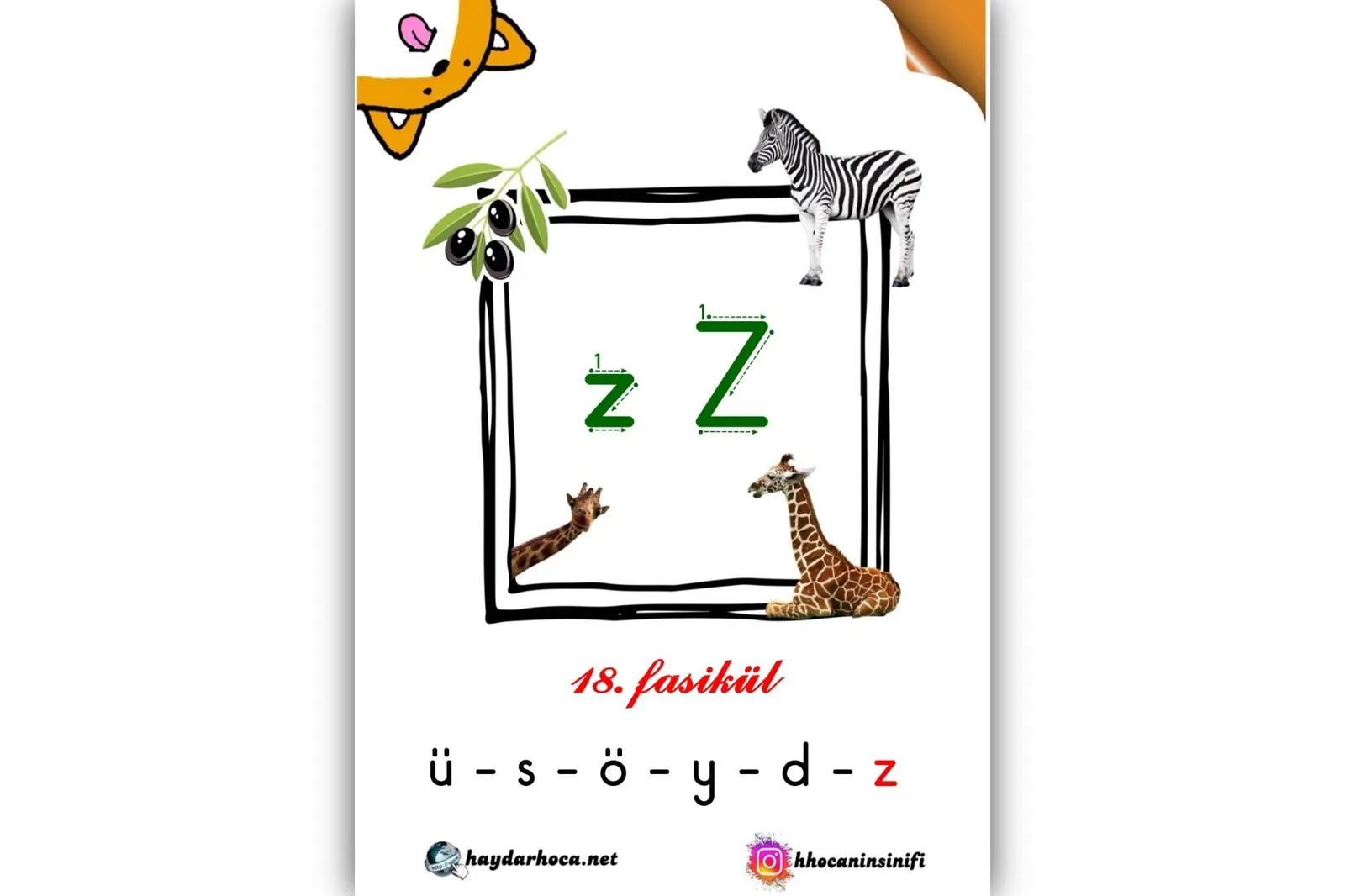 1. Sınıf Z-z Sesi Fasikülü