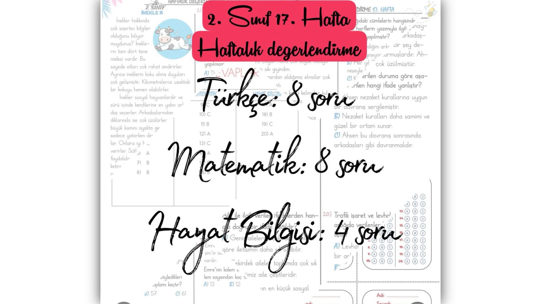 2. Sınıf 17. Hafta Haftalık Değerlendirme