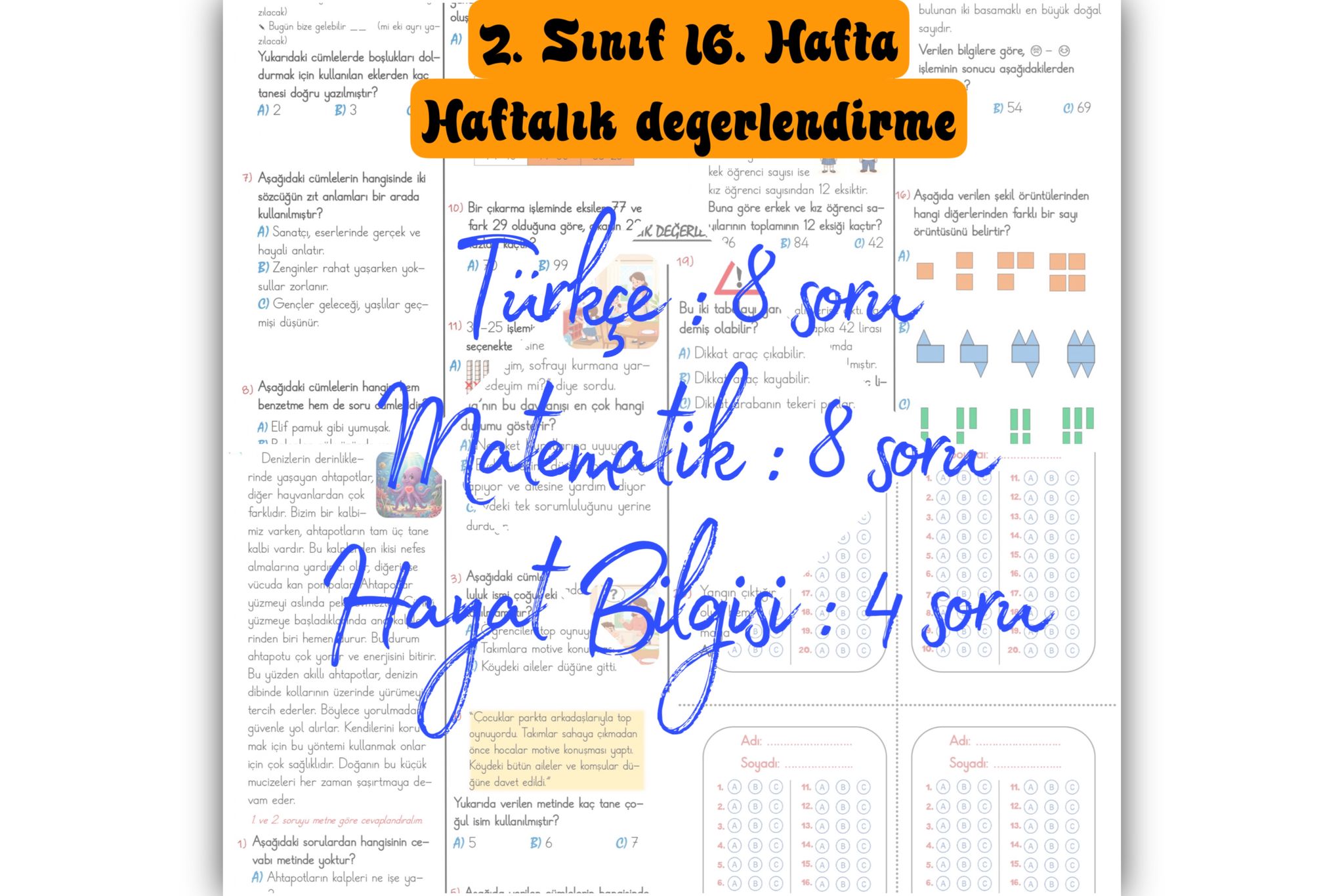 2. Sınıf 16. Hafta Haftalık Değerlendirme