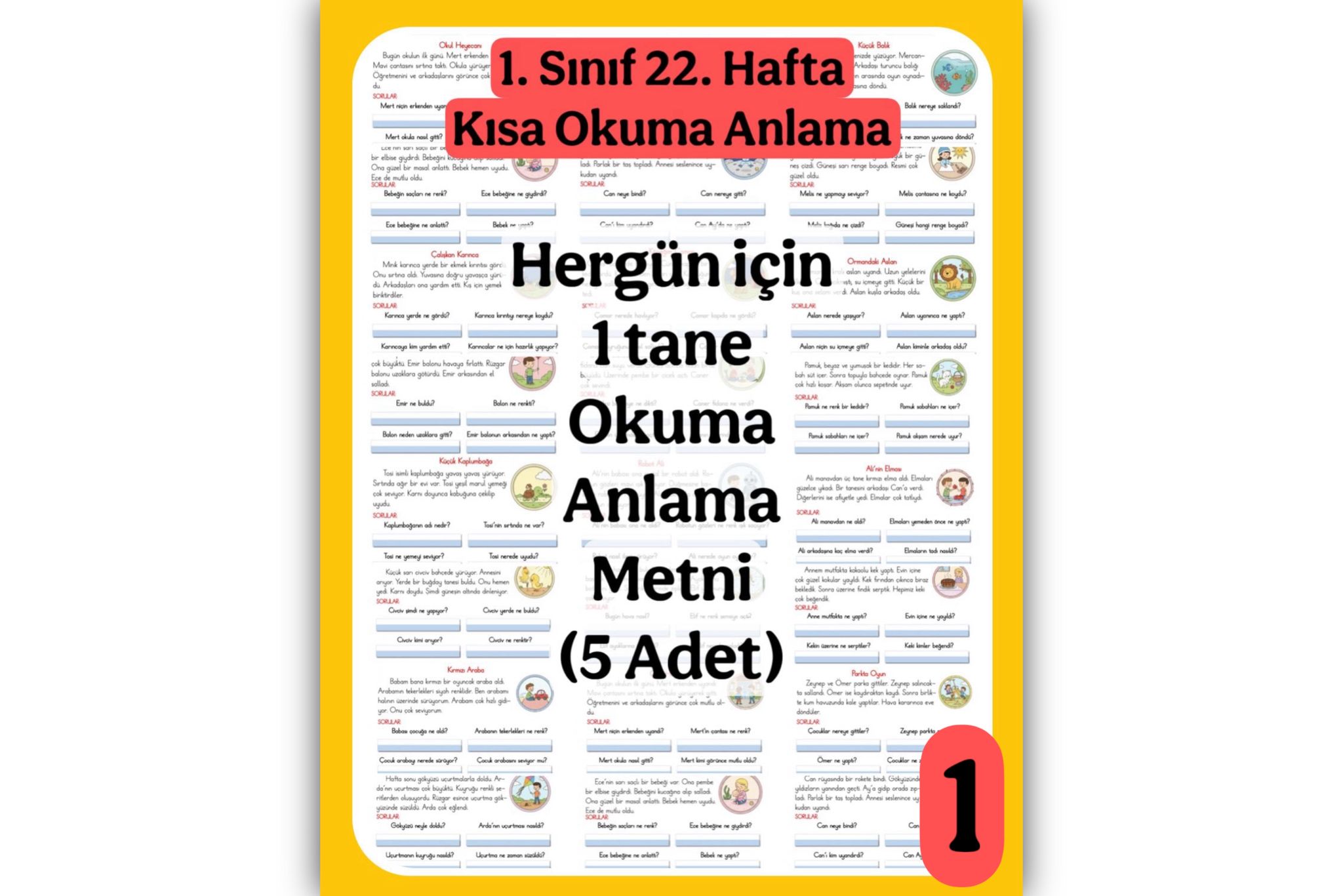 1. Sınıf Okuma Anlama Metinleri 1                   (5 Adet)
