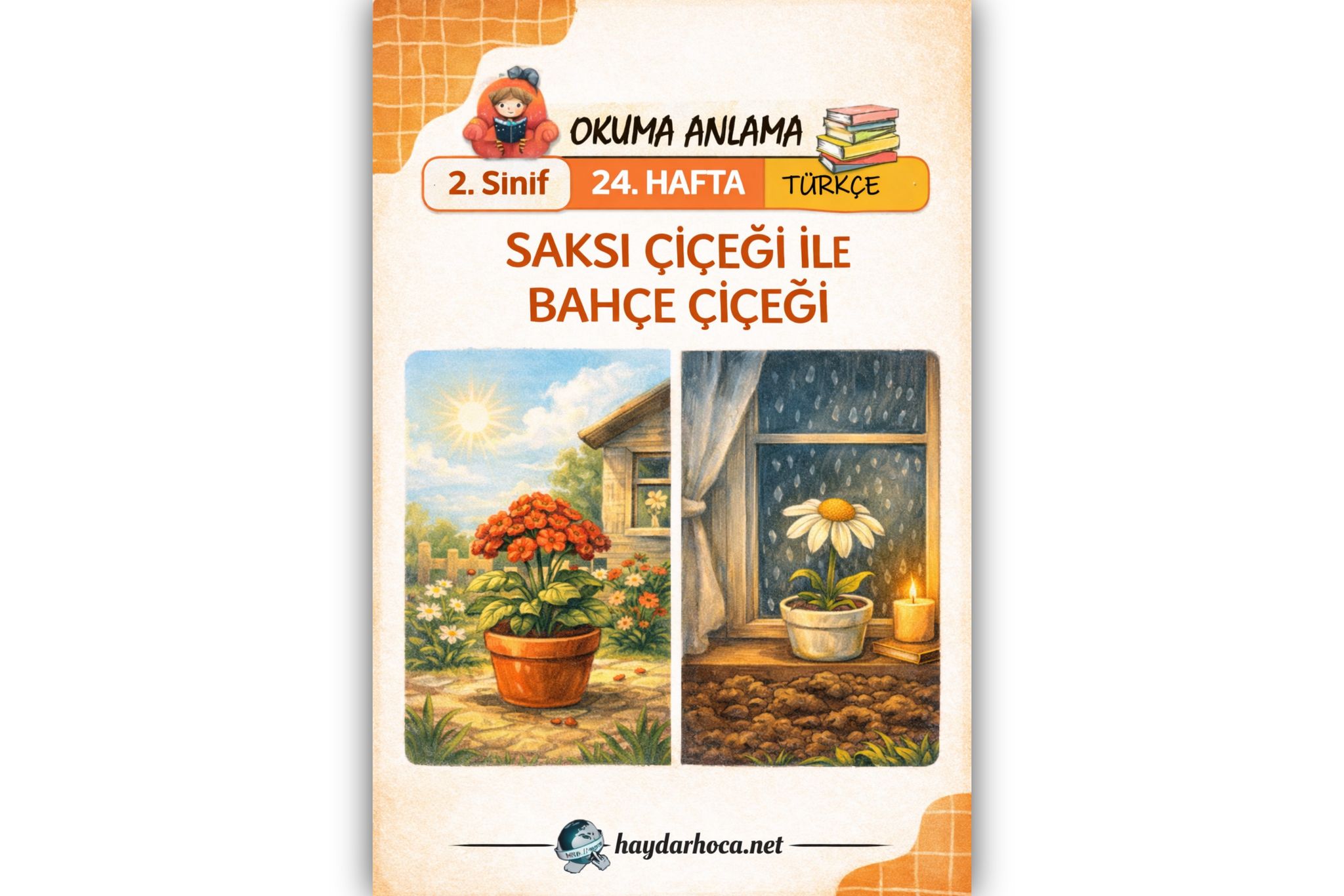 2. Sınıf 24. Hafta Okuma Anlama (Saksı Çiçeği ile Bahçe Çiçeği)