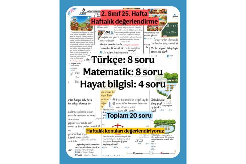 2. Sınıf 25. Haftalık Değerlendirme
