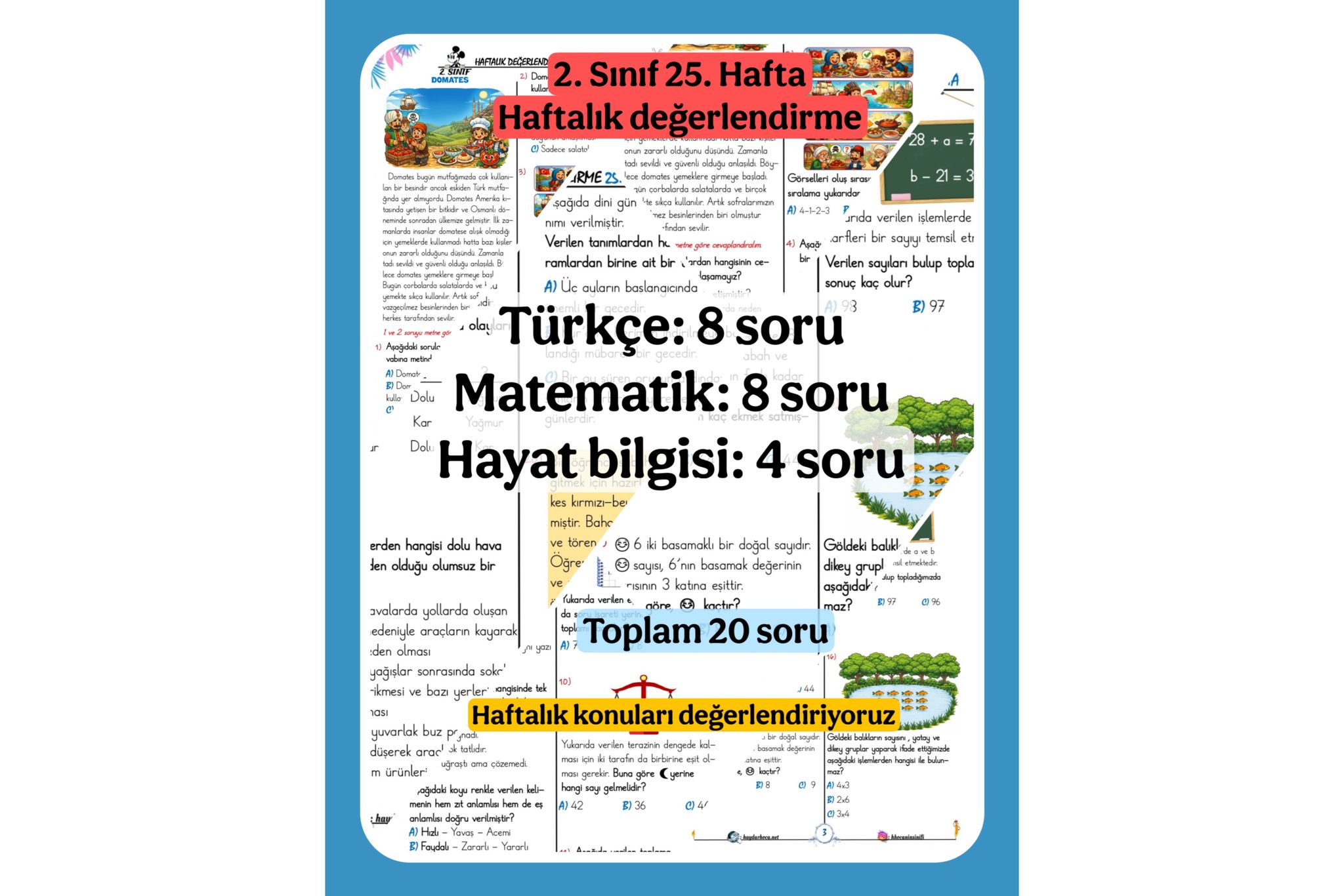 2. Sınıf 25. Haftalık Değerlendirme