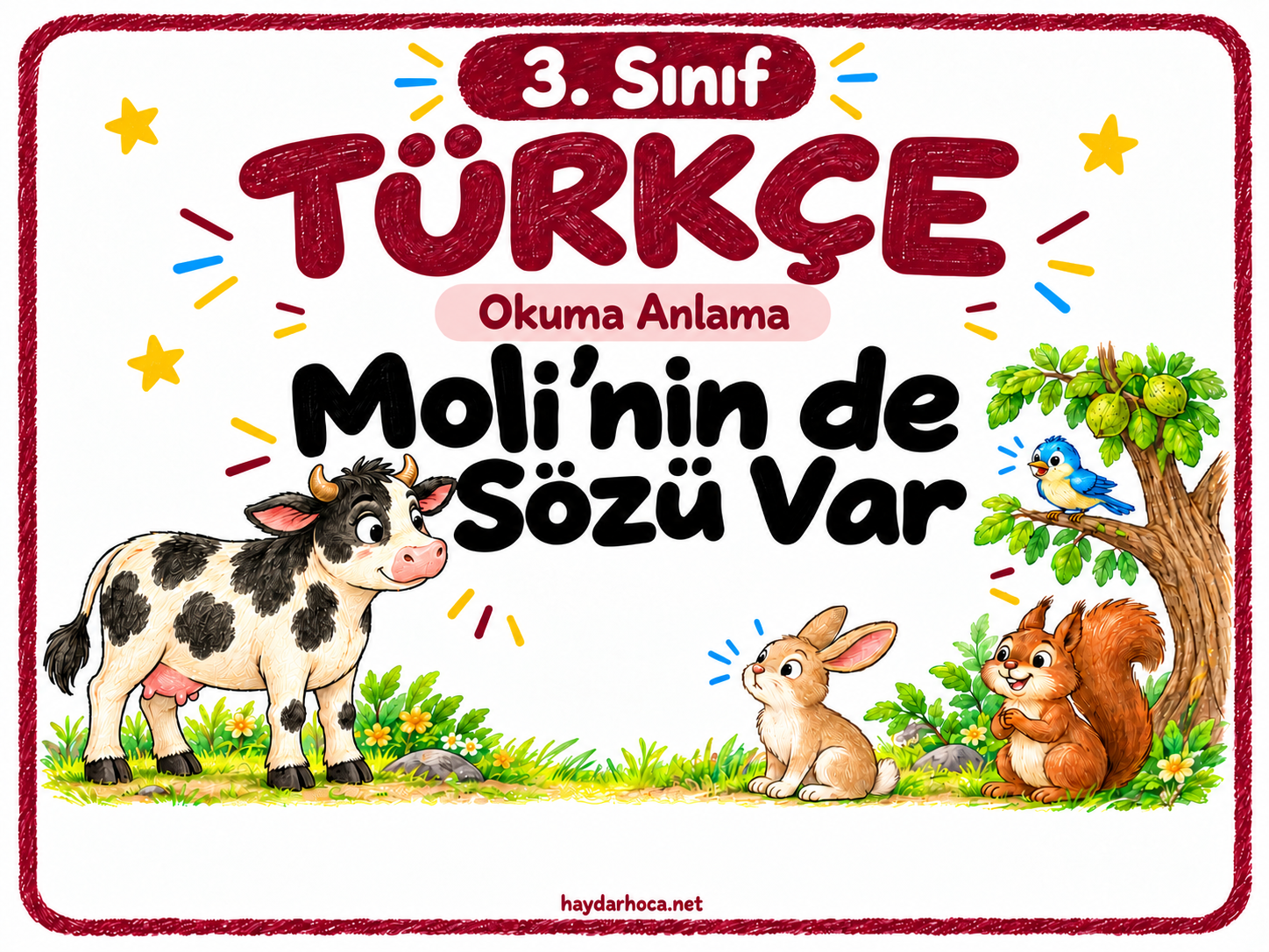 3. Sınıf Türkçe Okuma Anlama 6 (Moli’nin de Sözü Var)