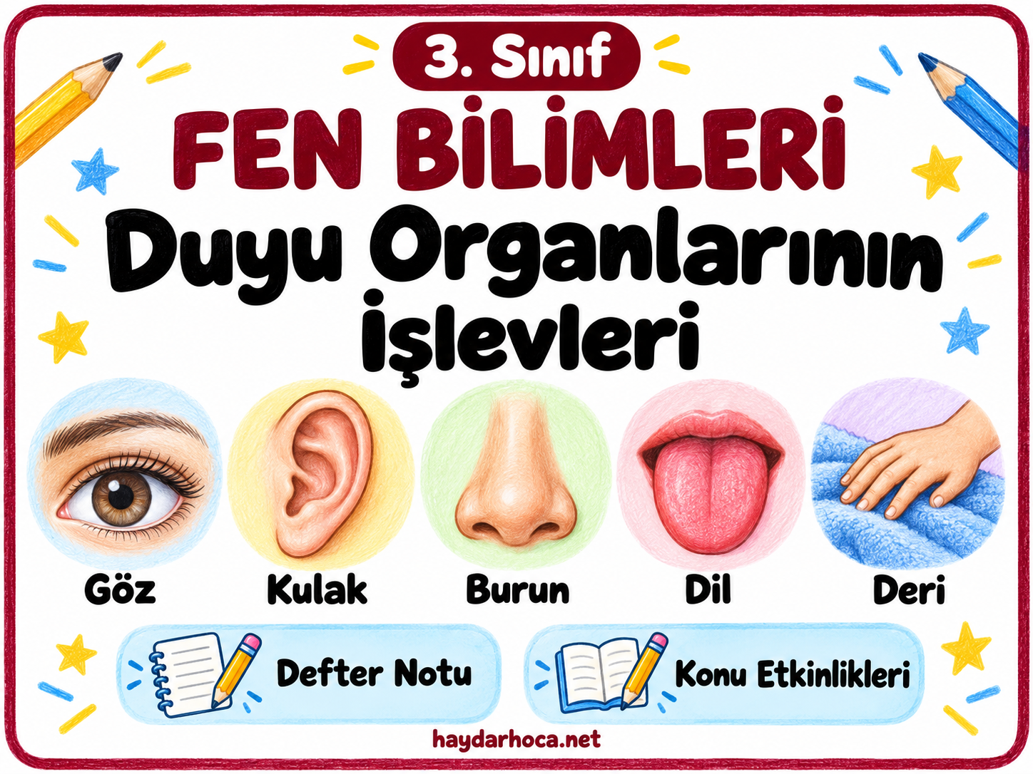 3. Sınıf Fen Bilimleri Duyu Organları Konu Etkinlikleri-Defter Çalışmaları
