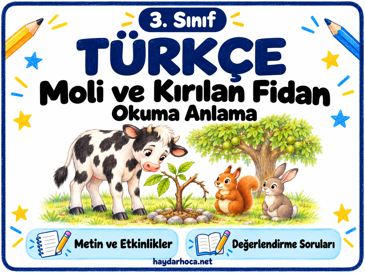 3. SINIF OKUMA ANLAMA 7 MOLİ VE KIRILAN FİDAN